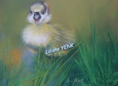 Painting titled "Le canneton (pastel…" by Liliane Yenk, Original Artwork