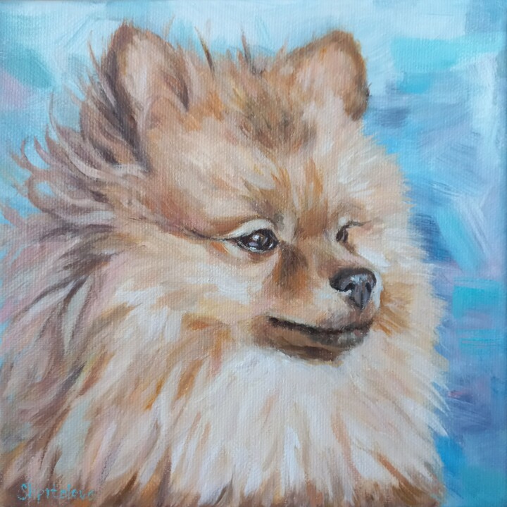 Painting titled "Pomeranian Spitz" by Liliia Shpitaleva, Original Artwork, Oil