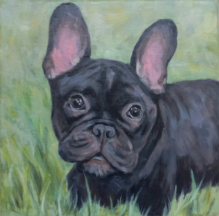 Painting titled "French Bulldog" by Liliia Shpitaleva, Original Artwork, Oil