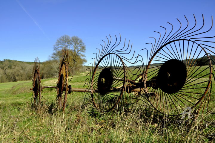 Photographie intitulée "cercles" par Lilipassion, Œuvre d'art originale