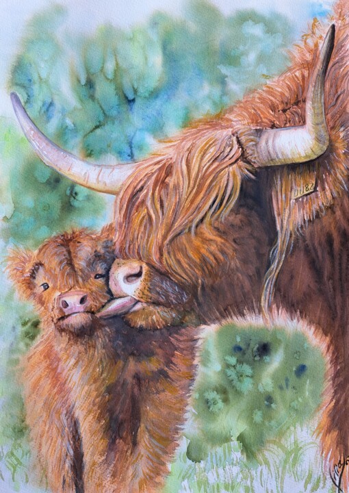 Pintura titulada "Highland cow" por Liliya Hudry, Obra de arte original, Acuarela