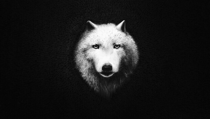 Painting titled "Wolf" by Ji Aime Art, Original Art, Acrylic Mounted on Stretcher frame