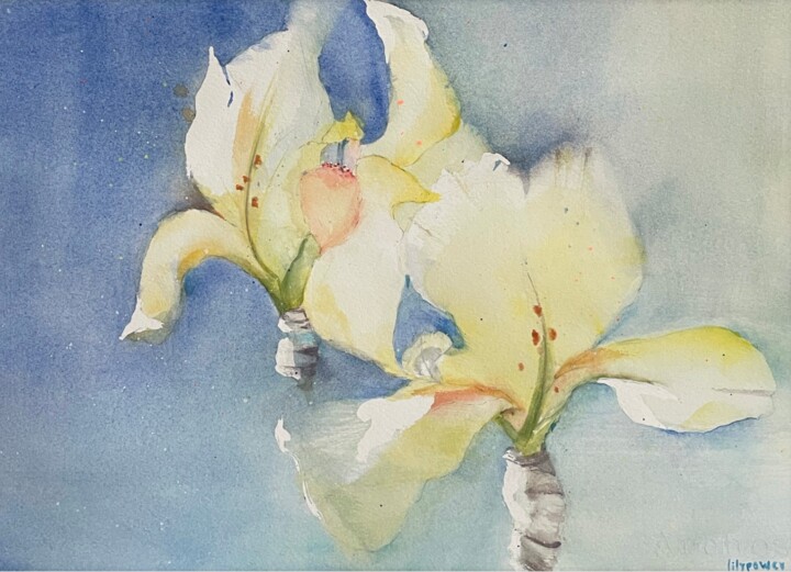 Painting titled "Les beaux Iris" by Lily Power, Original Artwork, Watercolor