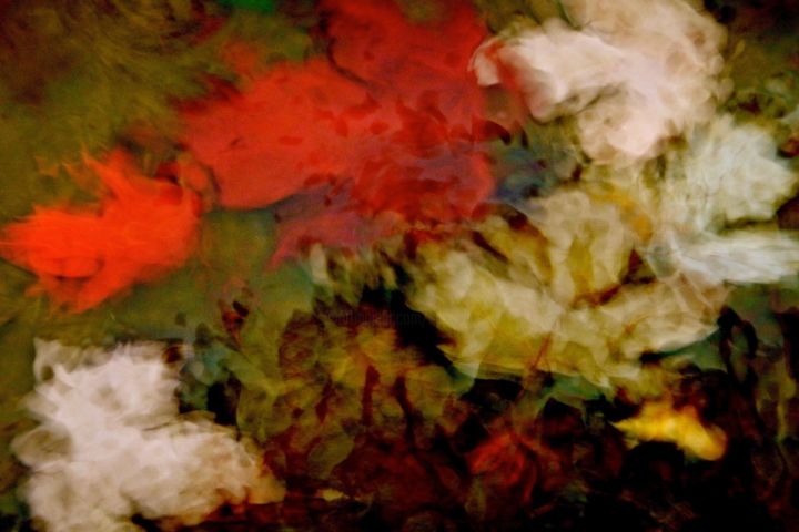 Fotografia zatytułowany „Drowned Leaves” autorstwa Linda Hegland, Oryginalna praca