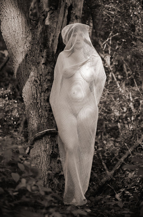 Photography titled "Bride of the Forest" by Lindy Powers, Original Artwork, Digital Photography Mounted on Cardboard