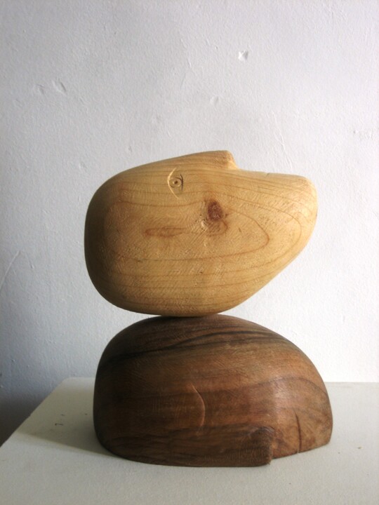 Skulptur mit dem Titel "The unexpected shad…" von Liquette-Gorbach, Original-Kunstwerk, Holz