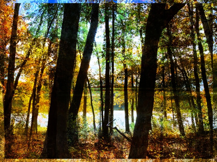 Digital Arts titled "Seneca Lake" by Lisa Trevino, Original Artwork, Photo Montage
