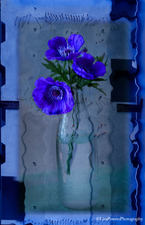 Photography titled "flowers-in-glass-va…" by Lisa Powers, Photographic Artist, Original Artwork