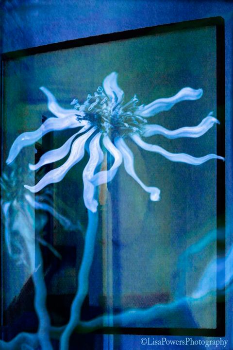 Photography titled "blue-flower.jpg" by Lisa Powers, Photographic Artist, Original Artwork