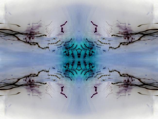 Digital Arts titled "Dawn of Winter" by Dalton Scinicariello, Original Art,