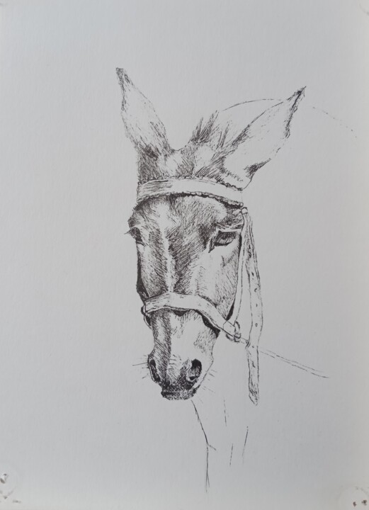 Drawing titled "sombre donkey" by Liudmila Rabinovich, Original Artwork, Gel pen