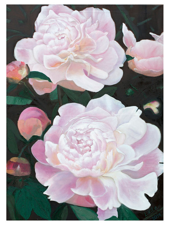 Painting titled "Пионы" by Людмила Китайгородская, Original Art, Oil