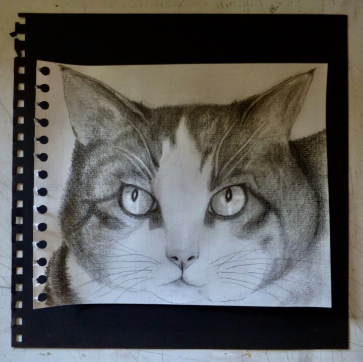 Drawing titled "R O X Y" by Livia Alessandrini, Original Artwork, Pencil Mounted on artwork_cat.