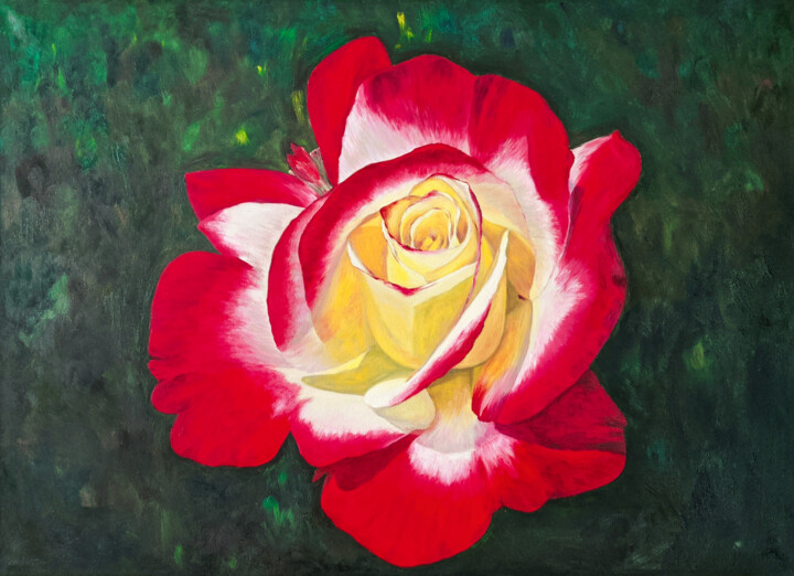 "Red Rose on a dark…" başlıklı Tablo Livia Doina Stanciu tarafından, Orijinal sanat, Petrol Ahşap Sedye çerçevesi üzerine mo…