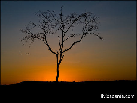 Fotografia intitulada "Sunset" por Lívio Soares De Medeiros, Obras de arte originais