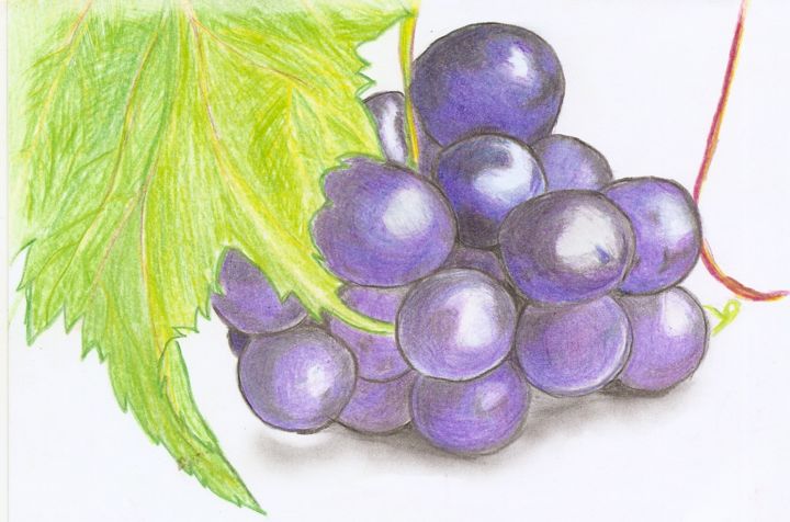 Drawing titled "grapes" by Mila Tkachenko, Original Artwork, Conté
