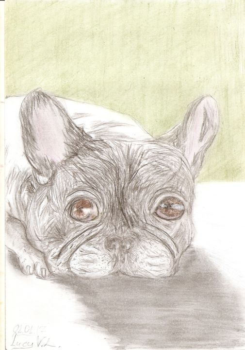 Drawing titled "pug" by Mila Tkachenko, Original Artwork, Conté
