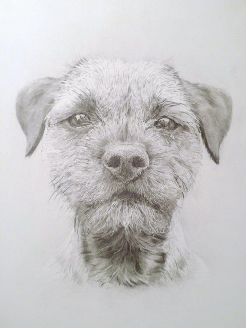 Drawing titled "Dog (2).JPG" by Loaded88, Original Artwork