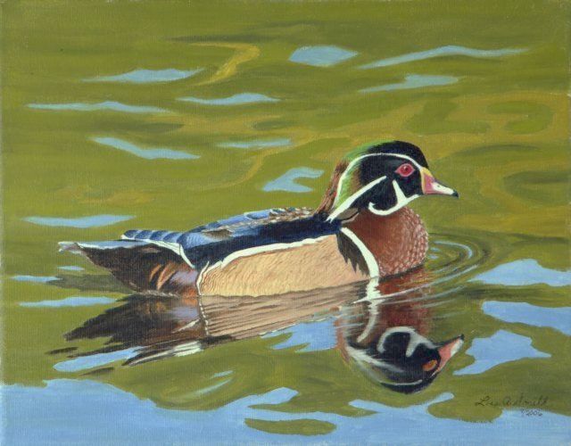 Pintura intitulada "Wood Duck" por Lois Smith, Obras de arte originais, Óleo