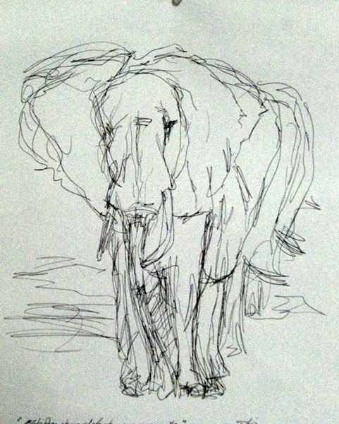 Desenho intitulada "estudio de un elefa…" por Lorenzo Pli, Obras de arte originais