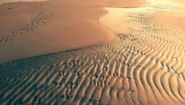 Fotografia intitolato "Dune" da Loreta Teodorova, Opera d'arte originale, Fotografia digitale