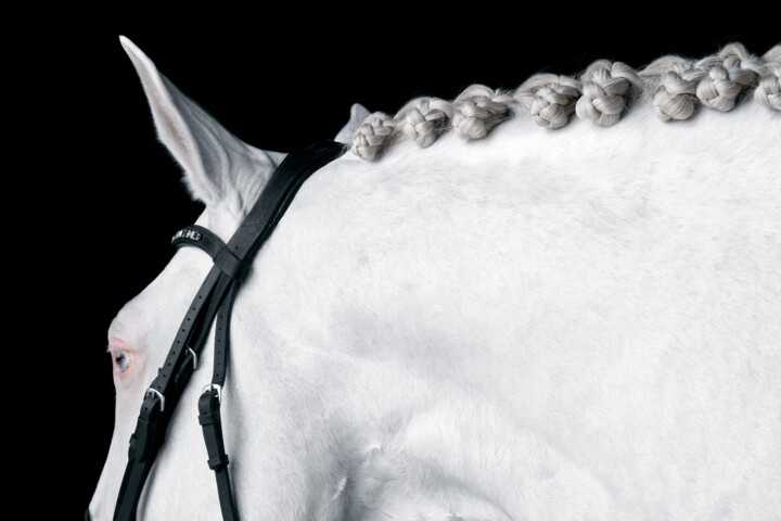 제목이 "White Horse IV"인 사진 Lori Adamski-Peek로, 원작, 디지털
