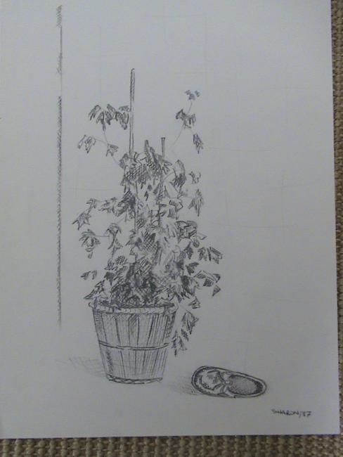 Drawing titled "Plant and shoe" by Sharon Legendre, Original Artwork, Other
