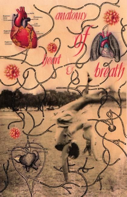 Collages titulada "Anaotomy of heart &…" por Lost Beauty, Obra de arte original