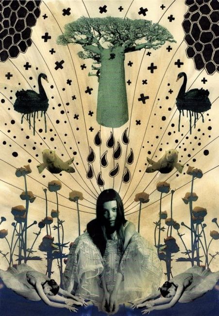 Collages titled "Bleading baobab & a…" by Lost Beauty, Original Artwork