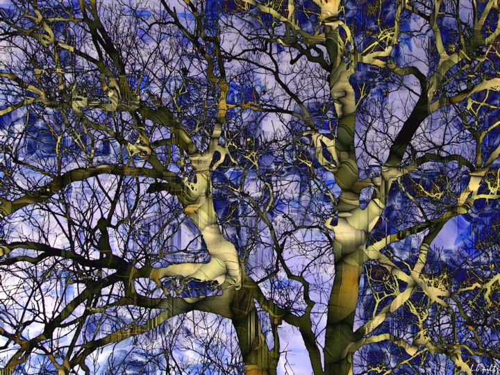 Arte digital titulada "Arbor" por Lothar Boris Piltz, Obra de arte original, Pintura Digital