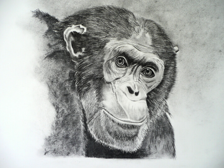 Peinture intitulée "chimpanze.jpg" par Lou Auvray, Œuvre d'art originale