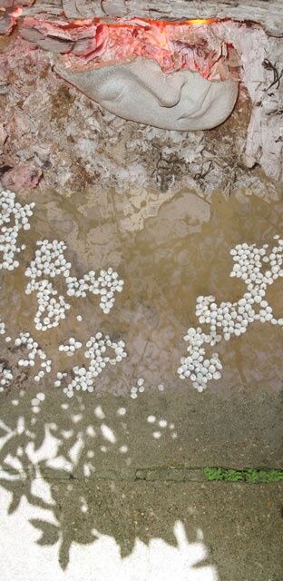 Photographie intitulée "Printemps de 27 à 6…" par Lou Perdu, Œuvre d'art originale