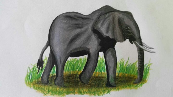 Drawing titled "Elephant" by Louis Lim Wen Wei, Original Artwork, Pencil
