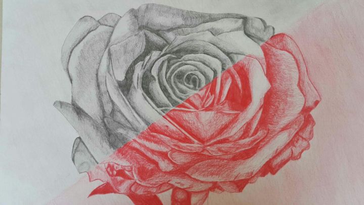 Zeichnungen mit dem Titel "Rose" von Louis Lim Wen Wei, Original-Kunstwerk, Bleistift