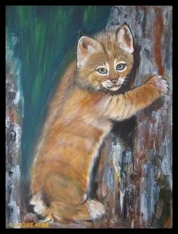 Painting titled "BéBé Lynx" by Louise Aubé, Original Artwork, Oil