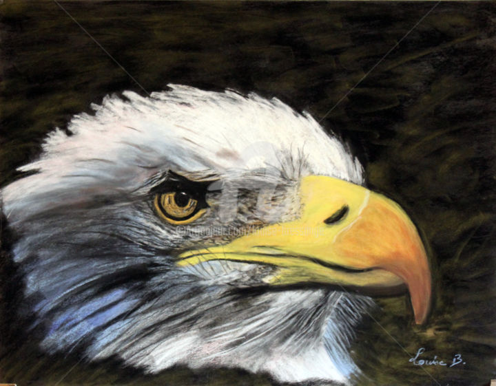 Malarstwo zatytułowany „regard-d-aigle.jpg” autorstwa Louise Bressange, Oryginalna praca, Pastel