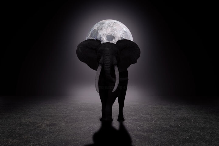 Arts numériques intitulée "Nuit Africaine" par Lecointre Patrick Artiste - Photographe, Œuvre d'art originale, Photo montage