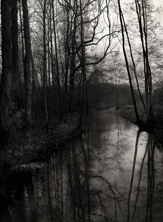 Photographie intitulée "L'hiver sur la Scar…" par Lsarah Dubas, Œuvre d'art originale,