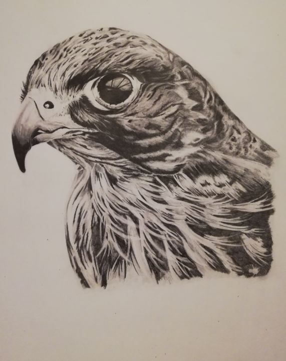 Drawing titled "Hunter" by Luke Scott Webber, Original Art, Graphite