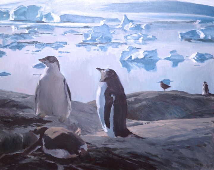 Malerei mit dem Titel "Gentoo penguins enj…" von Luc Bernay, Original-Kunstwerk, Öl