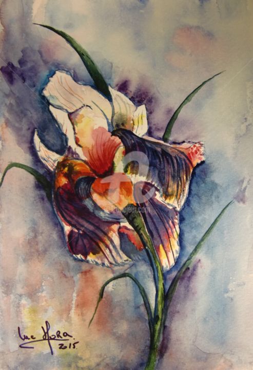 Painting titled "Iris" by Luc Mora, Original Artwork, Watercolor