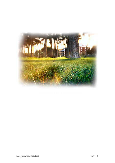 Photography titled "roma - parco pineta…" by Luca Baldassari, Original Artwork