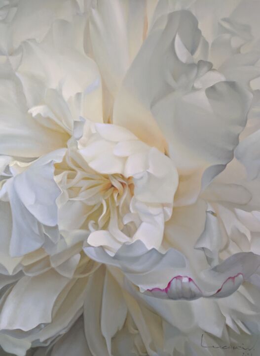 제목이 ""Queen peony ""인 미술작품 Vasyl Luchkiv로, 원작, 기름