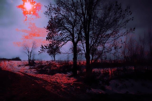 Photographie intitulée "night vision" par Lucian Olteanu, Œuvre d'art originale