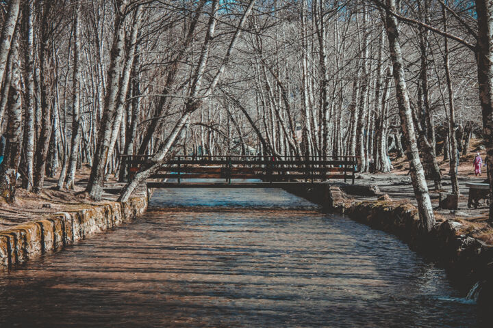 Photography titled "Follow the River" by Luciana Dias, Original Artwork, Digital Photography