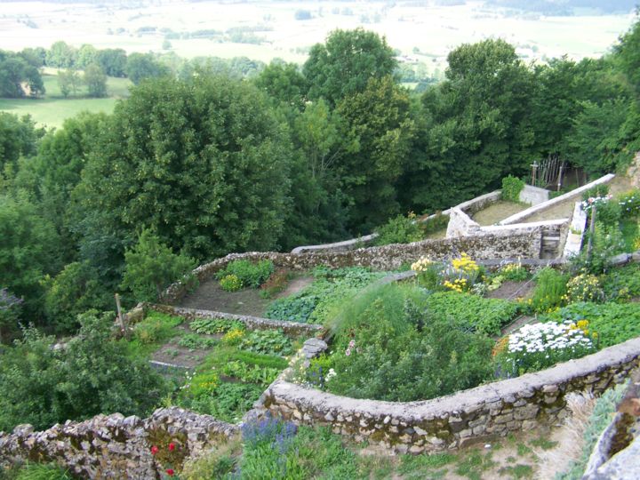 Photographie intitulée "Jardin" par Lucie Lucy, Œuvre d'art originale