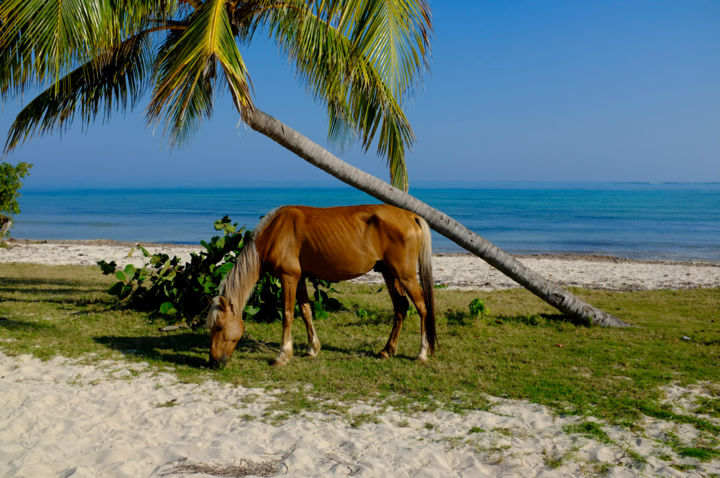 Photography titled "Cuba" by Lucien Duhamel, Original Artwork