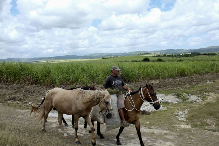 Photography titled "Cuba" by Lucien Duhamel, Original Artwork