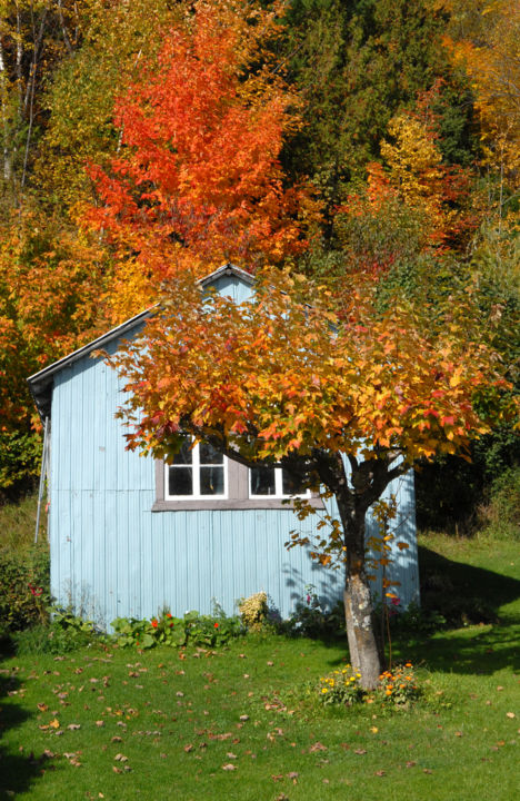 Photography titled "Petite-Rivière-Sain…" by Lucien Duhamel, Original Artwork