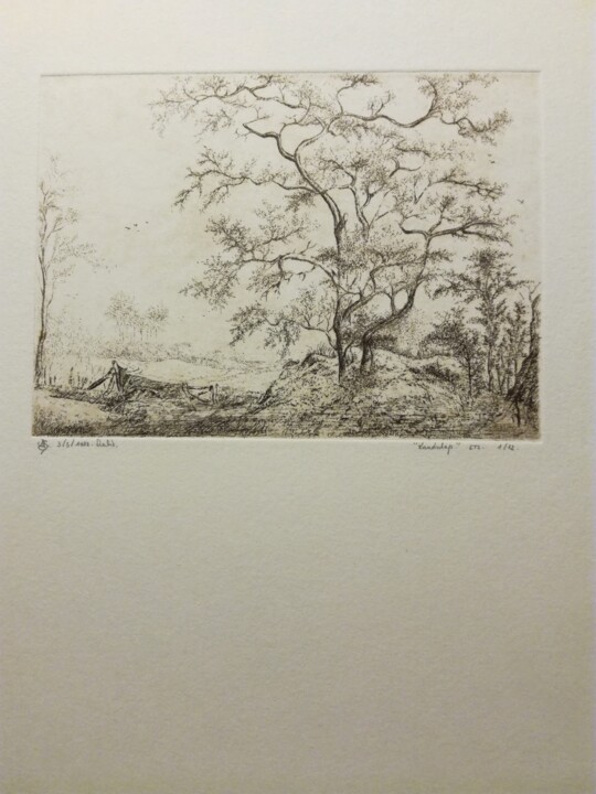 Printmaking titled "landschap" by Lucienne Van Sande, Original Artwork, Etching